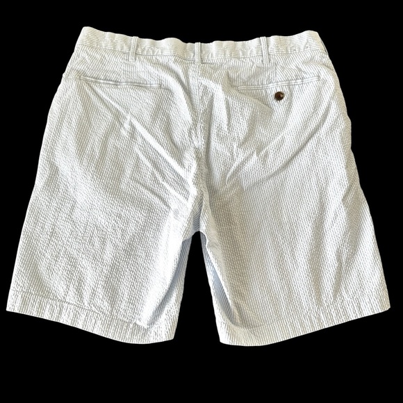 J Crew Mens size 34 Waist Blue Seersucker Stripe 9” Shorts Preppy Easter Stretch - Picture 2 of 6